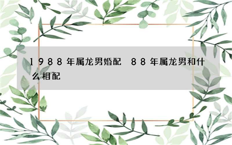 1988年属龙男婚配 88年属龙男和什么相配